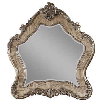 ACME Ragenardus Wooden Traditional Bedroom Mirror in Vintage Oak