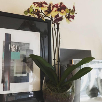 Room Refresh-Eclectic Curation