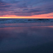Alexandra Beier's photo