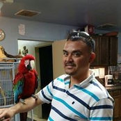 Jr. Castillo's photo