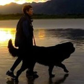 Lucia Passarelli's photo