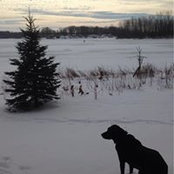 Foto de Nancy Riggan