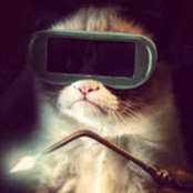 Laurie Carman's photo