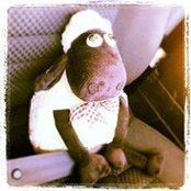 Michael Romeo's photo