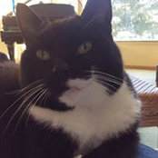 Pat Kaufmann's photo