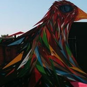Amélie Elies's photo