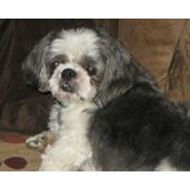 Lauri Stahl's photo