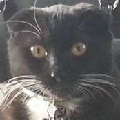 Rita Baur's photo