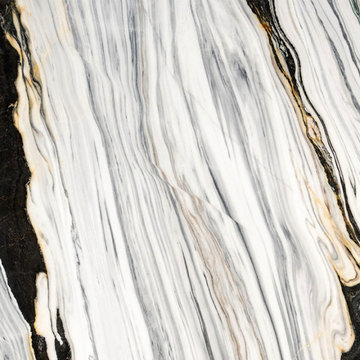 Bianco Covelano White Marble