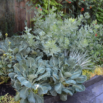 Raised Vegetable Bed / Ornamental Garden 2016