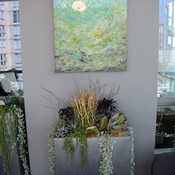 Modern Succulent Garden 2014