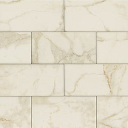 Traditional Wall And Floor Tile by Bedrosians Tile and Stone