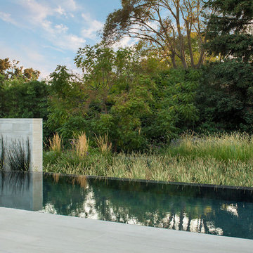 Infinity Pool and Landscape