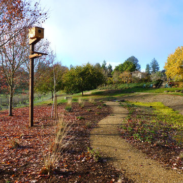 sebastopol rain garden & meadow