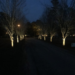 LED Landscape Lighting - Landscape Lighting