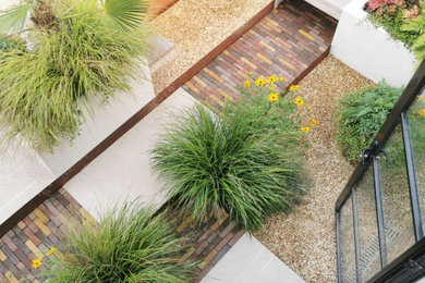This is an example of a small contemporary garden in London.