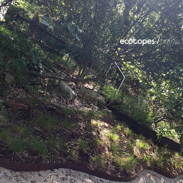 beverly_hills_austin (1,13)