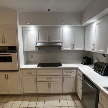 Modern Kitchen Remodel Done in a Shaker Door