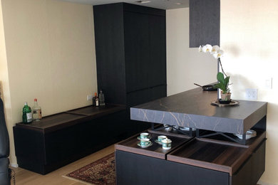 Kitchen - contemporary kitchen idea in New York