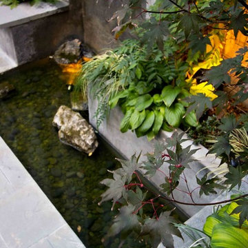 Modern Brooklyn Garden