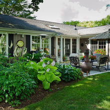 Shade Perennials