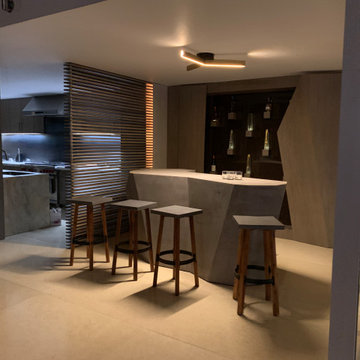 Celebrity Penthouse