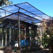 Orchid house