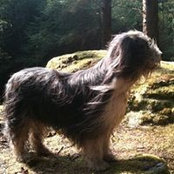 Kerry Henry's photo