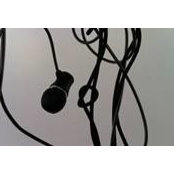 Lynn Shawcroft's photo