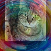 Constance Wagner's photo