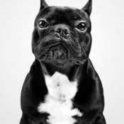 Charlie Harper's photo