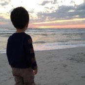 Phyllis Higgins's photo