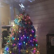 Amy Rocamontes's photo