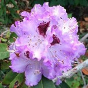 Christel Munoz's photo