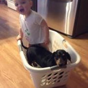 Leslie Parker Melmige's photo
