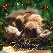 Marni Chartier's photo