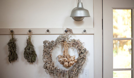 Cultiver de l’ail, mode d’emploi