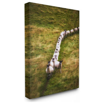 Sheep Line Farm Animal Landscape Photo, 30"x40"
