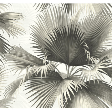 Endless Summer Black Palm Wallpaper Bolt