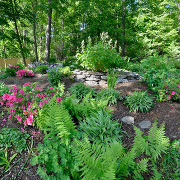 Woodland Garden on a Slope
