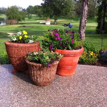 BoxPotz: the Upcycler's Choice for Container Gardening!