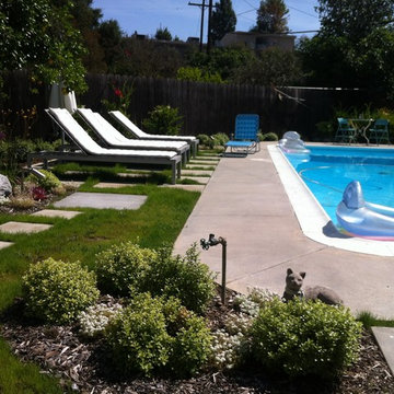 Back yard dry tolerant landscape. garage conversion