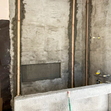 Master Bathroom and Home Remodel
