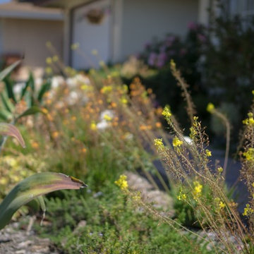 Costa Mesa