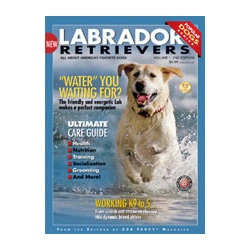 Magazine Covers - Products