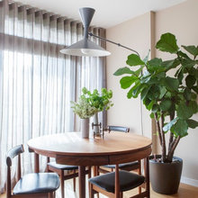 Fiddle fig tree