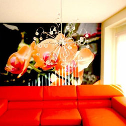 CEILTRIM PHOTO WALLS - Products