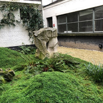 Cour de 30m2 - Bruxelles - Zen