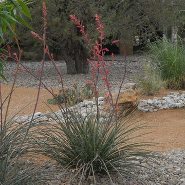 Southwestern Style Landscape