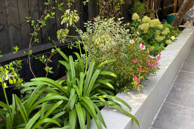 Photo of a small modern garden in London.